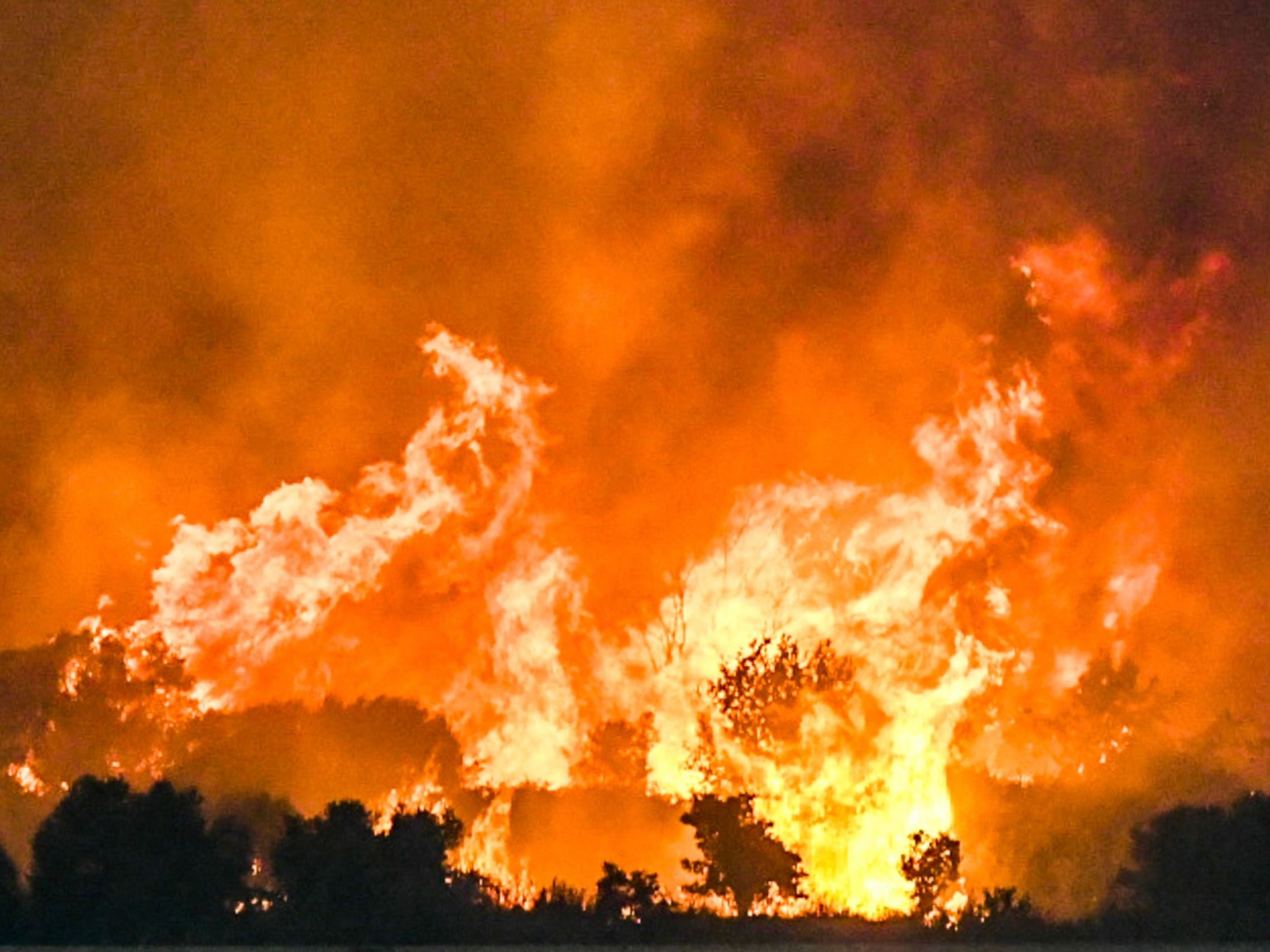 Tausende Menschen müssen vor den Walbränden auf der Halbinsel Peloponnes flüchten.