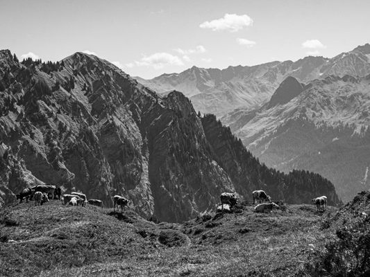 Alpe Heuberg im Klostertal