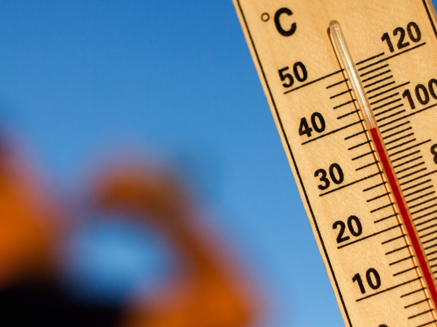 Das Wetter wird wieder sommerlicher. Das Wetter wird wieder sommerlicher.