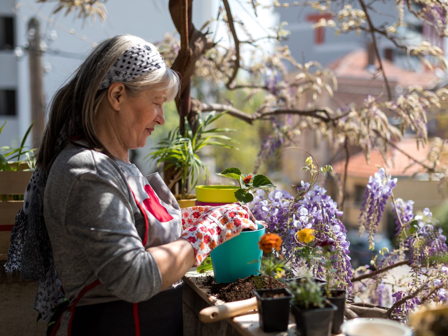 Blüten bis Oktober? So verlängern Sie die Saison auf dem Balkon