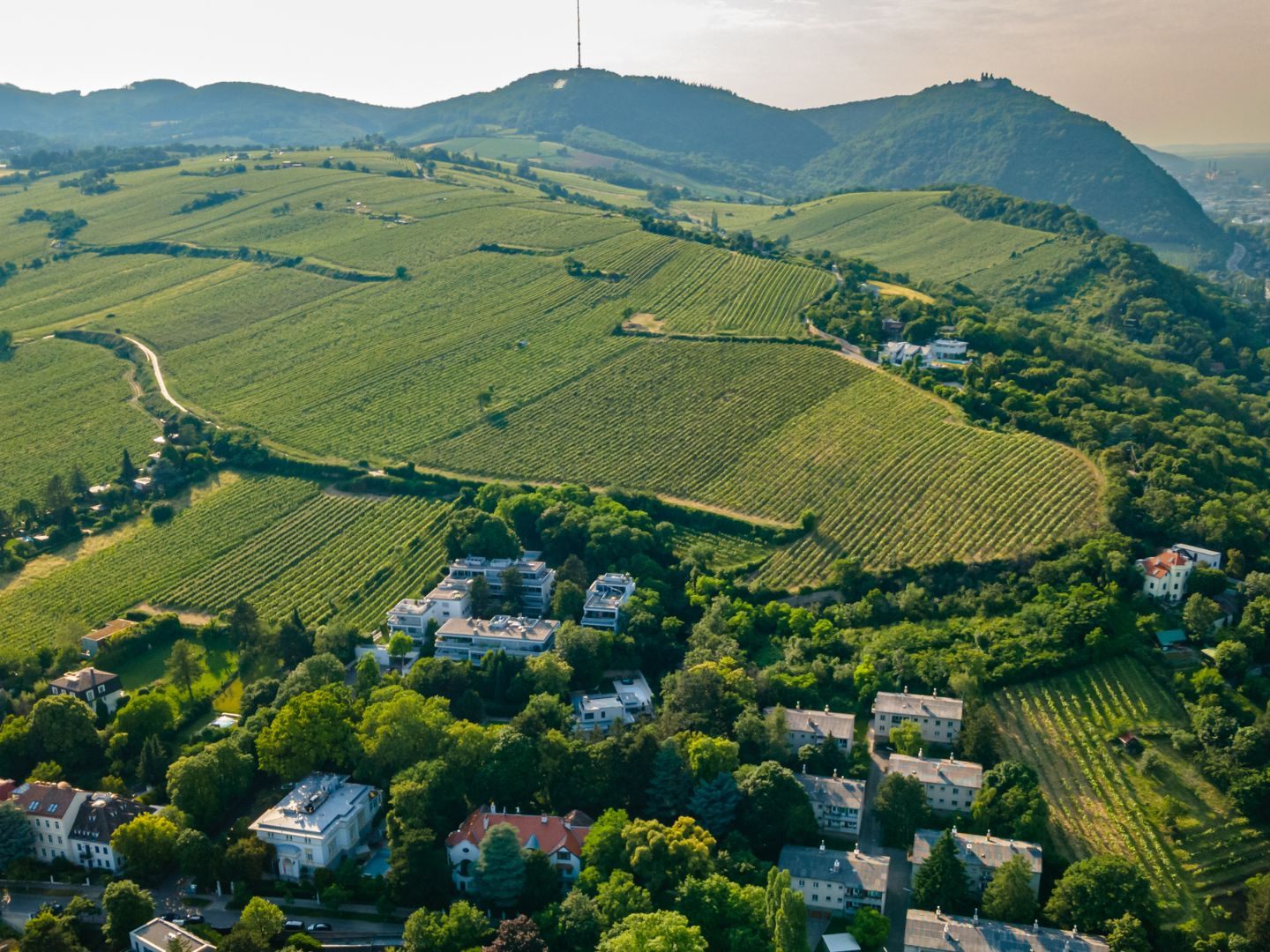 Bei dem teuersten Gebäude, das 2024 in Wien-Döbling verkauft wurde, handelt es sich um ein im Bau befindliches Mehrfamilienhaus.