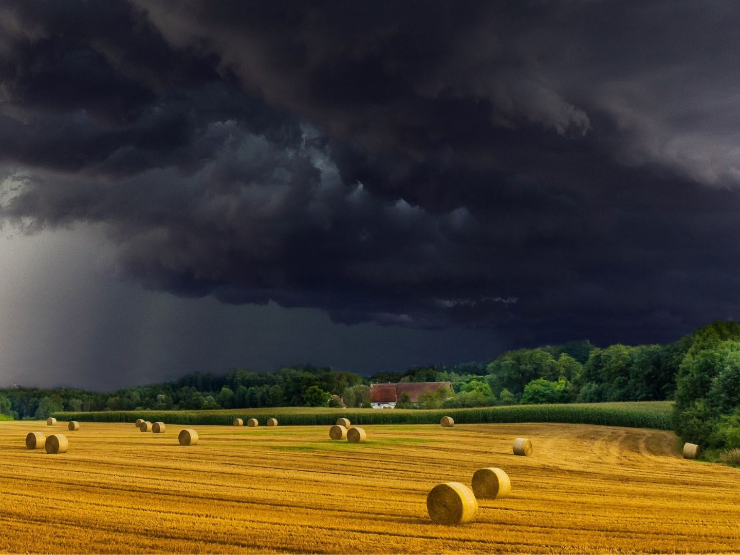 Am Wochenende wird es immer wieder Gewitter und Regenschauer geben. wird Am Wochenende wird es immer wieder Gewitter und Regenschauer geben. wird