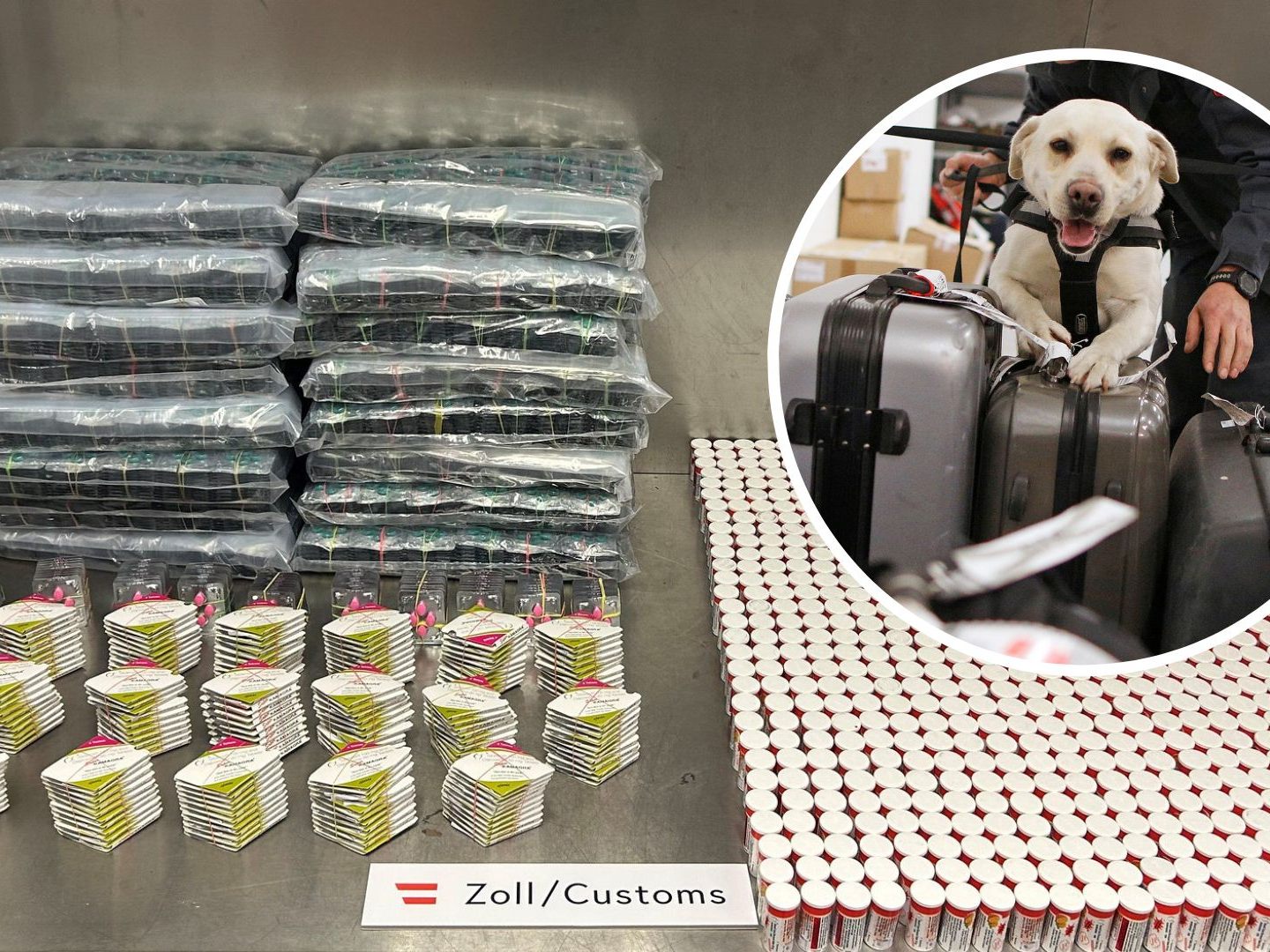 Hund Brownie hatte den richtigen Riecher. Hund Brownie hatte den richtigen Riecher.