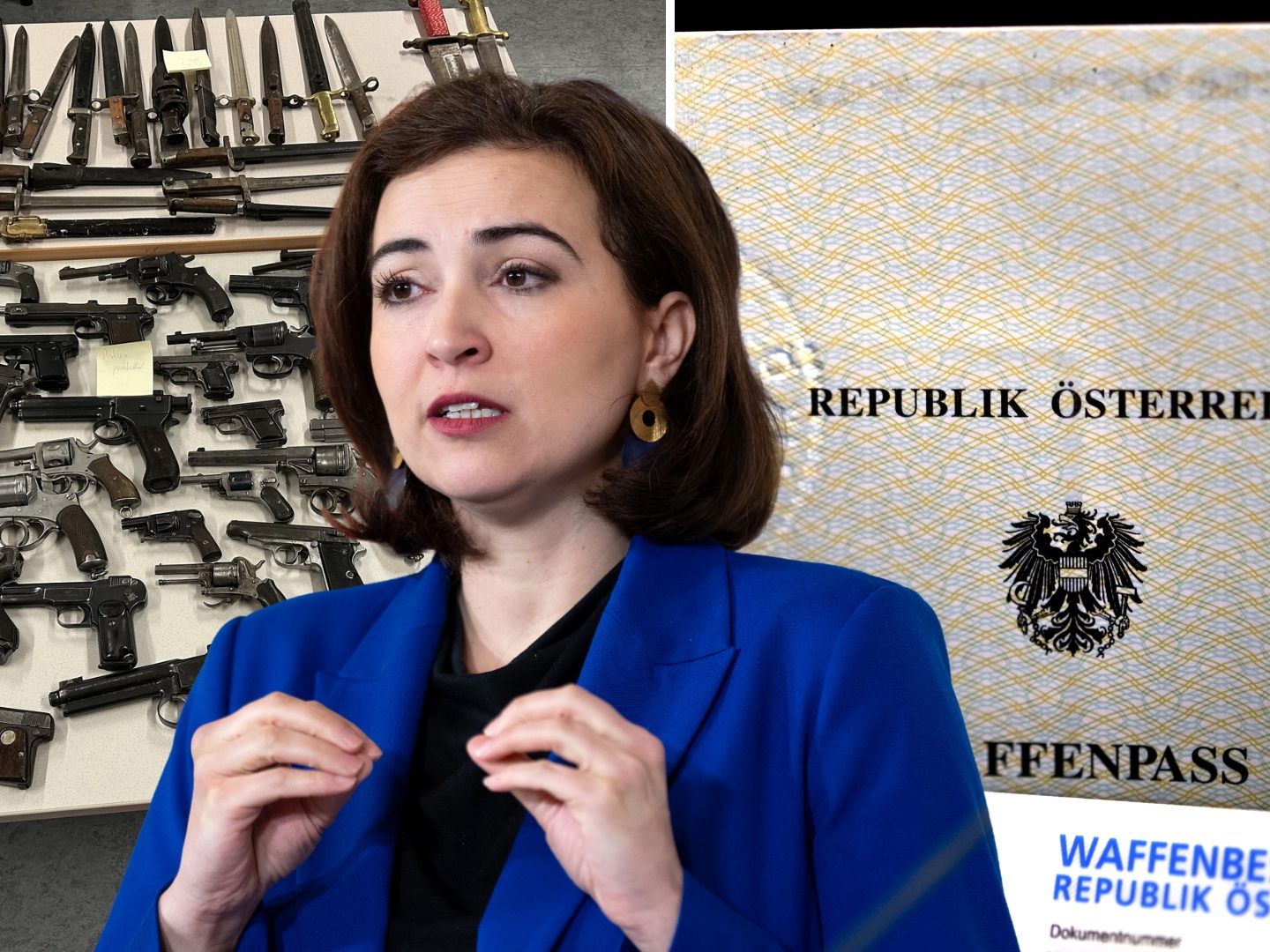 Alma Zadić fordert einen klaren Kurswechsel in der österreichischen Waffengesetzgebung. Alma Zadić fordert einen klaren Kurswechsel in der österreichischen Waffengesetzgebung.