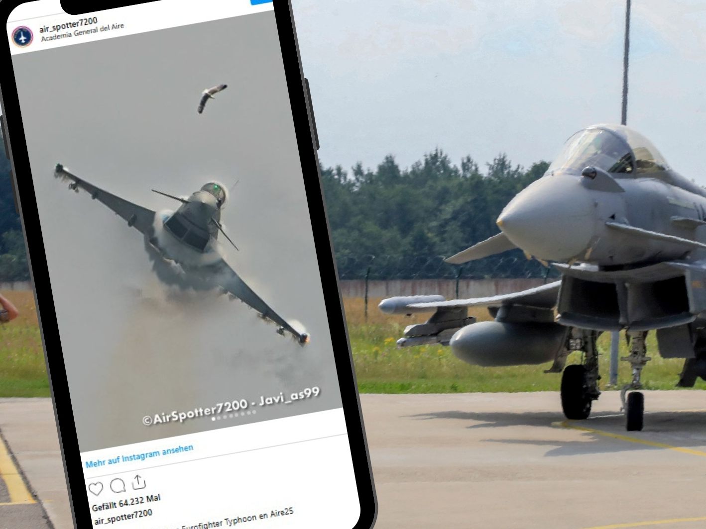 Kleines Bild: Möwe und Eurofighter unmittelbar vor dem folgenschweren Zusammenstoß.