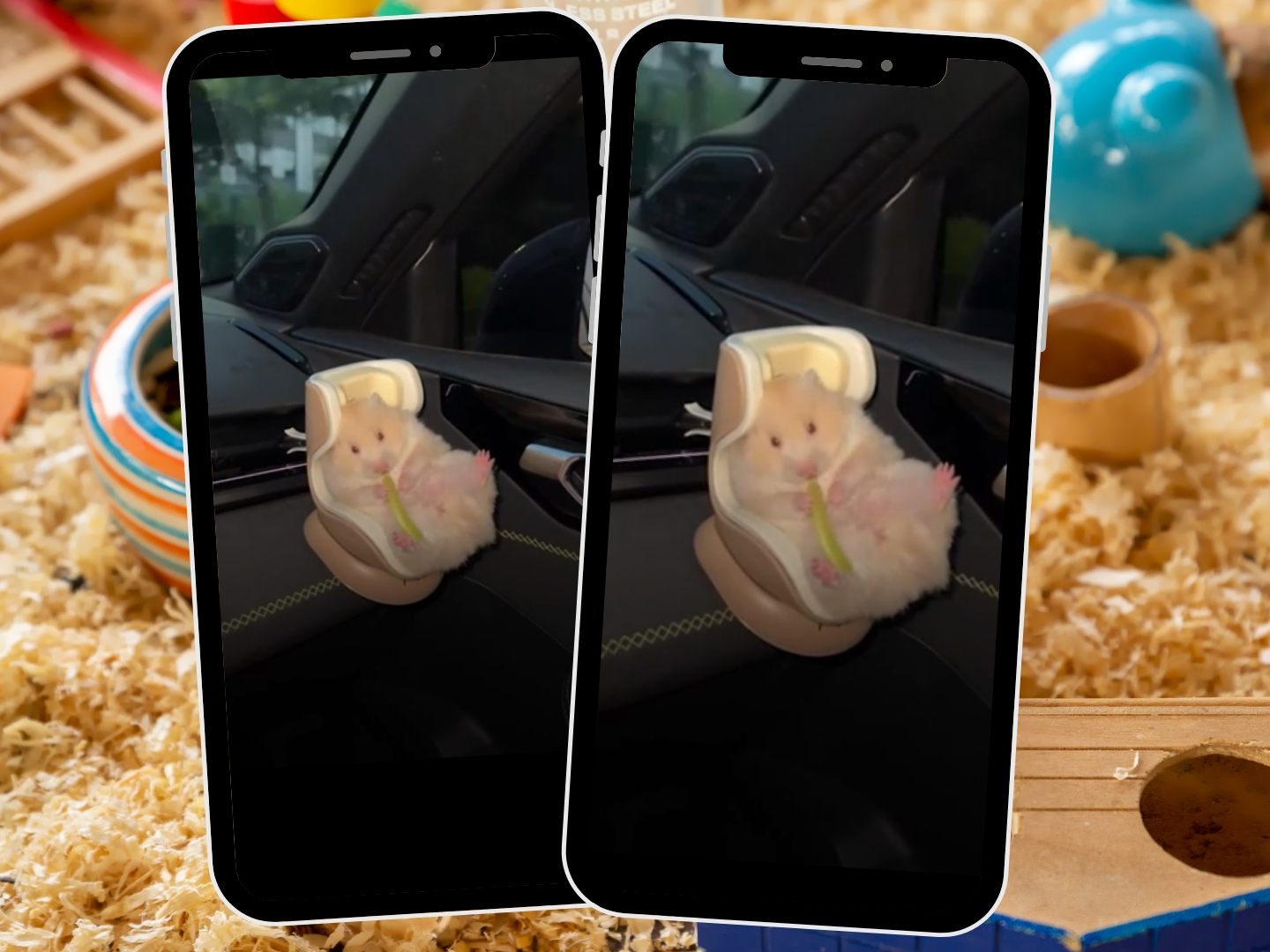 Ein Hamster sitzt entspannt in einem speziell für Kleintiere vorgesehenen Autositz und knabbert dabei Süßigkeiten.