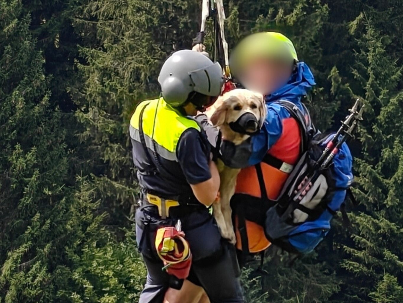 Die Flugpolizei hatte Hündin und Herrchen sicher am Bergetau.