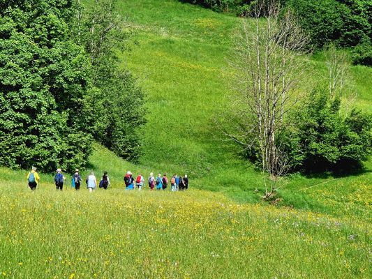 Bei den leichten Wanderungen steht das Gemeinschaftserlebnis im Vordergrund. Bei den leichten Wanderungen steht das Gemeinschaftserlebnis im Vordergrund.