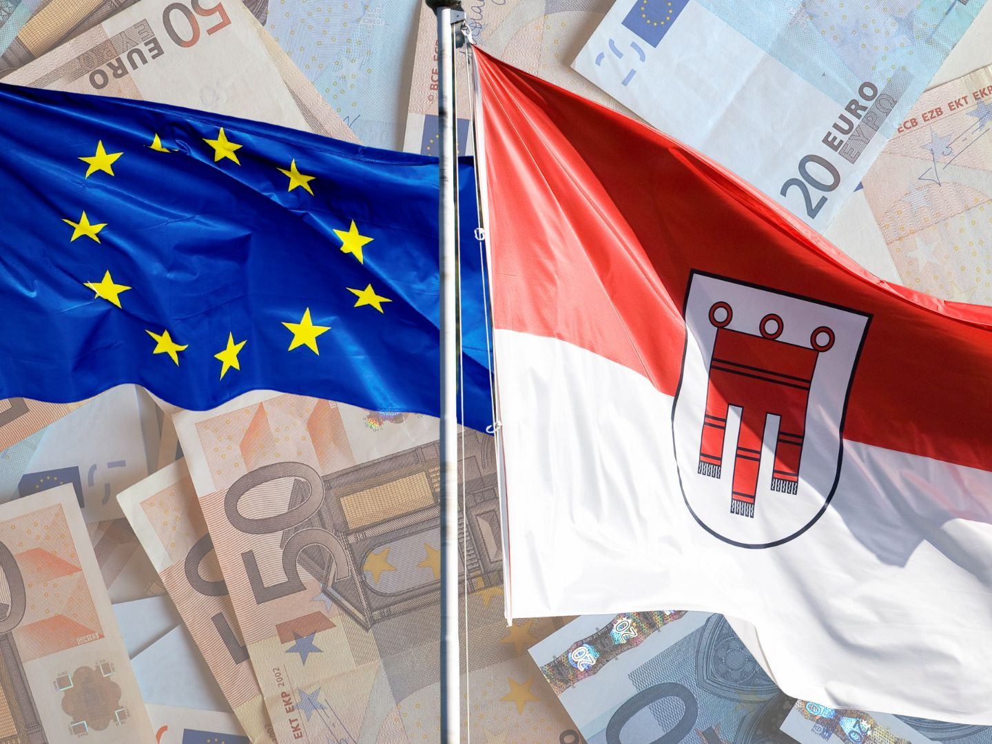 Auch Vorarlberger NGOs bekamen EU-Gelder. Auch Vorarlberger NGOs bekamen EU-Gelder.