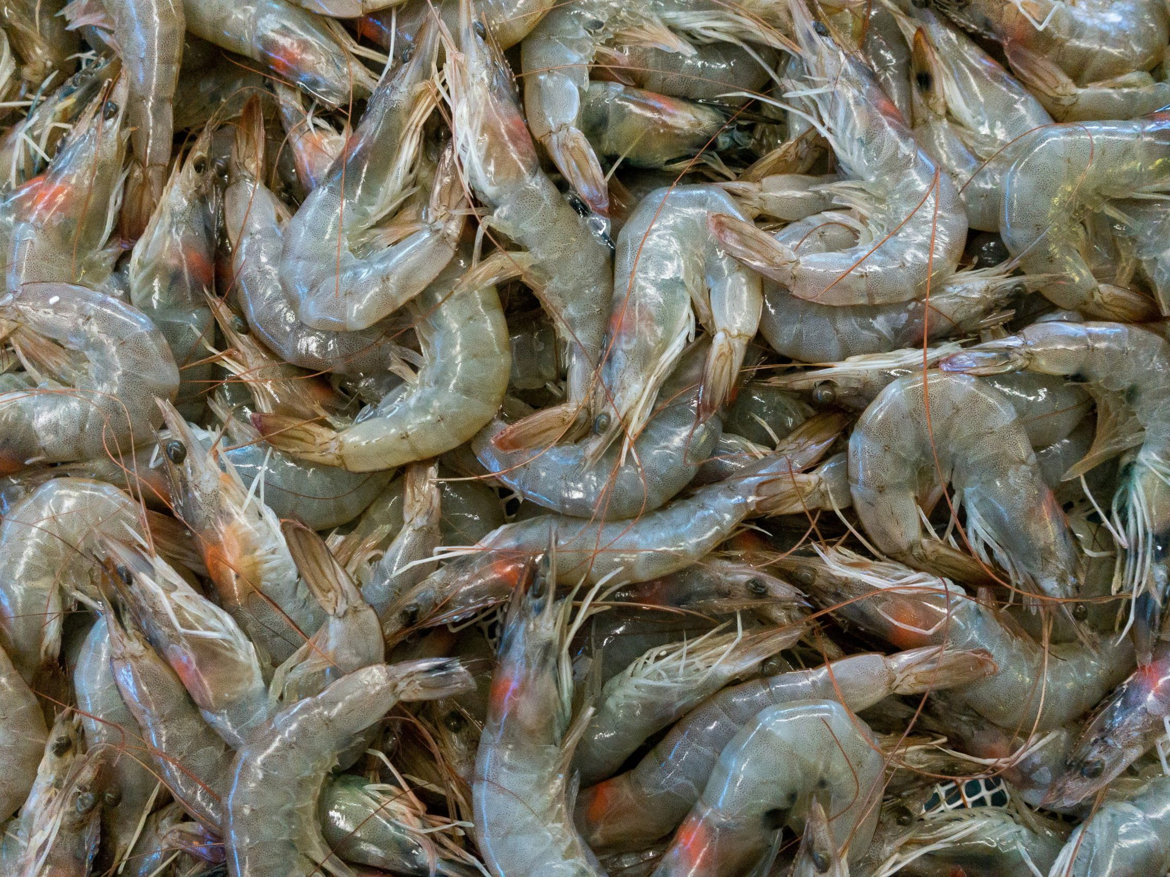 In den USA ruft Walmart Tiefkühl-Shrimps zurück. Die FDA fand radioaktives Caesium-137. Betroffen sind 13 Bundesstaaten.