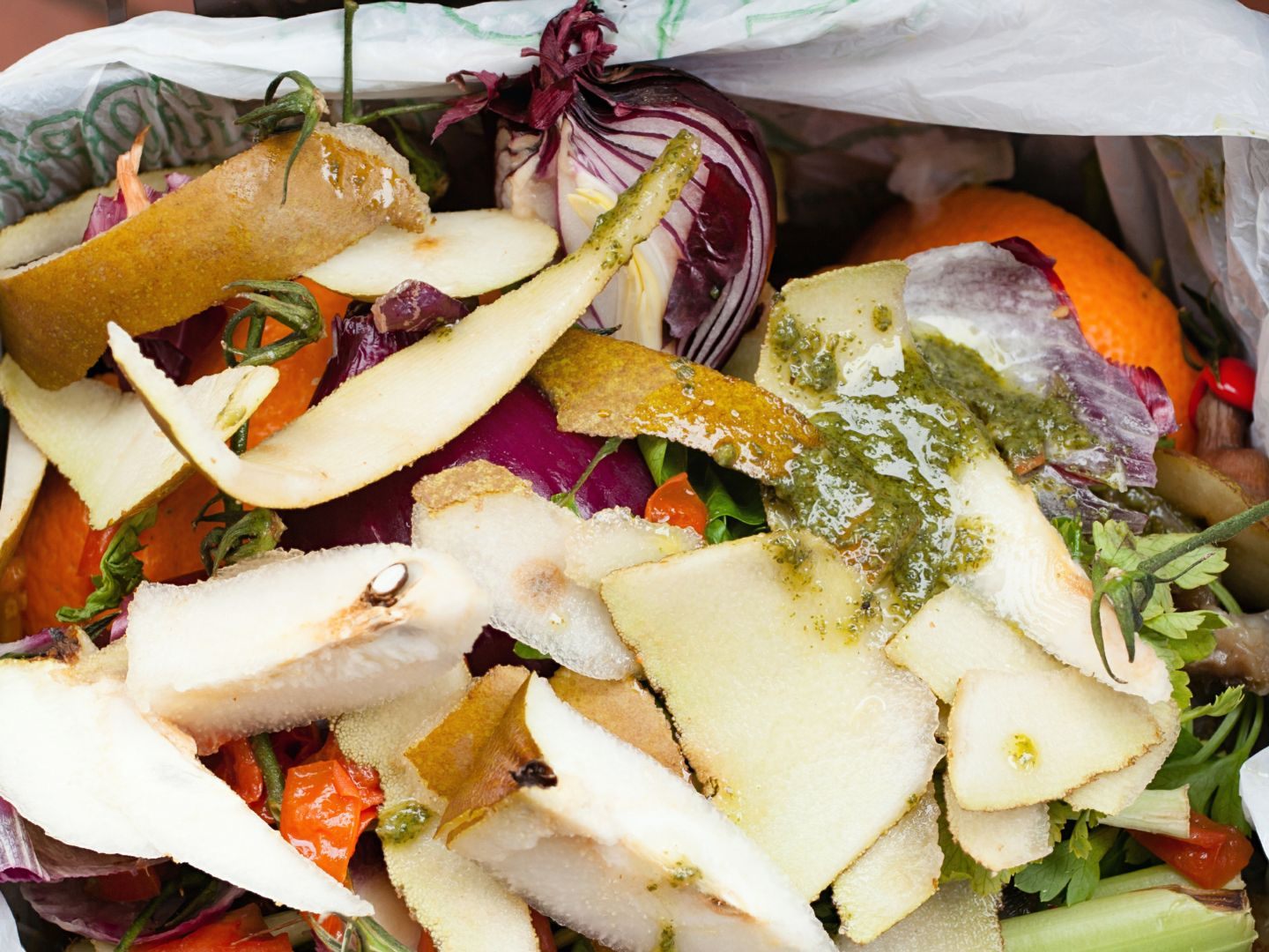Maden in der Biotonne? Diese Tipps helfen sofort Maden in der Biotonne? Diese Tipps helfen sofort