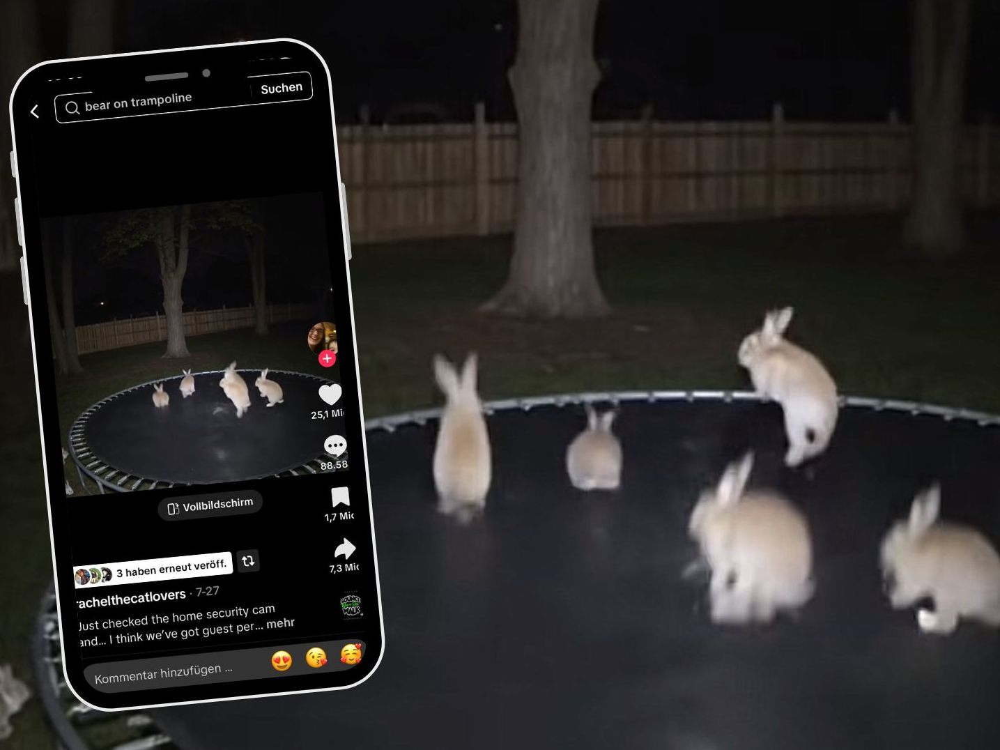 Hüpfende Kaninchen täuschen Millionen Menschen auf TikTok.