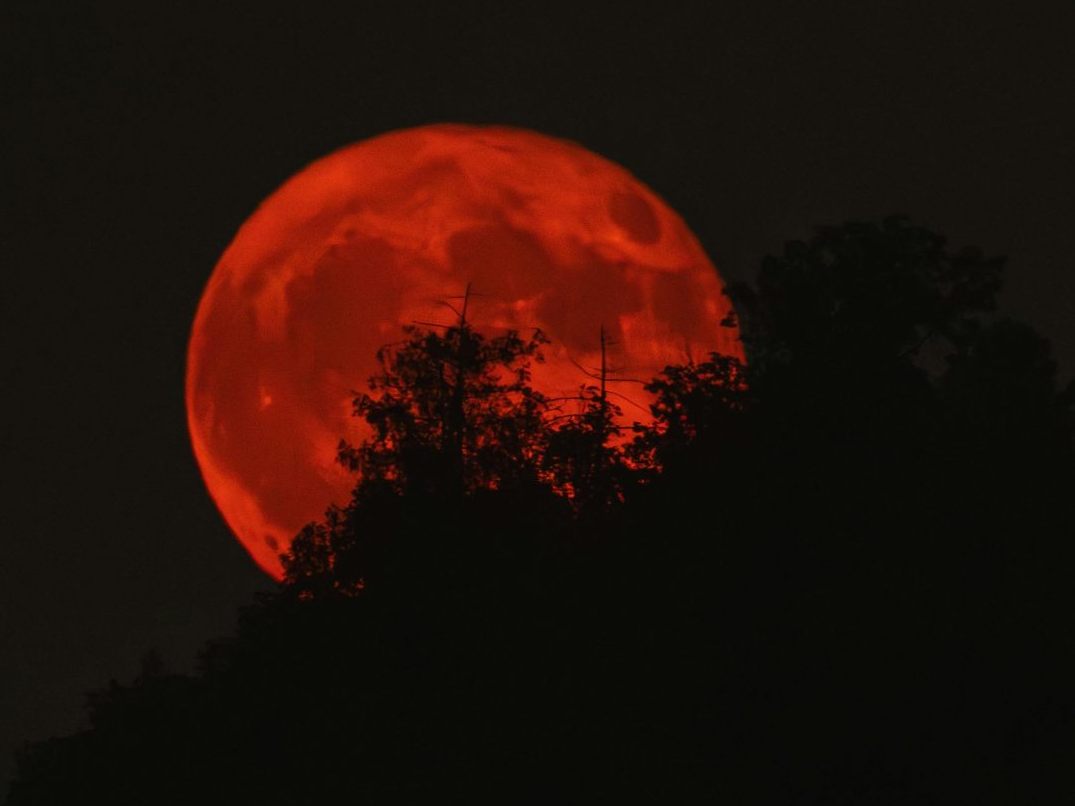Am 7. September 2025 färbt sich der Himmel über Österreich rot: Die totale Mondfinsternis ist landesweit als „Blutmond“ sichtbar. Am 7. September 2025 färbt sich der Himmel über Österreich rot: Die totale Mondfinsternis ist landesweit als „Blutmond“ sichtbar.