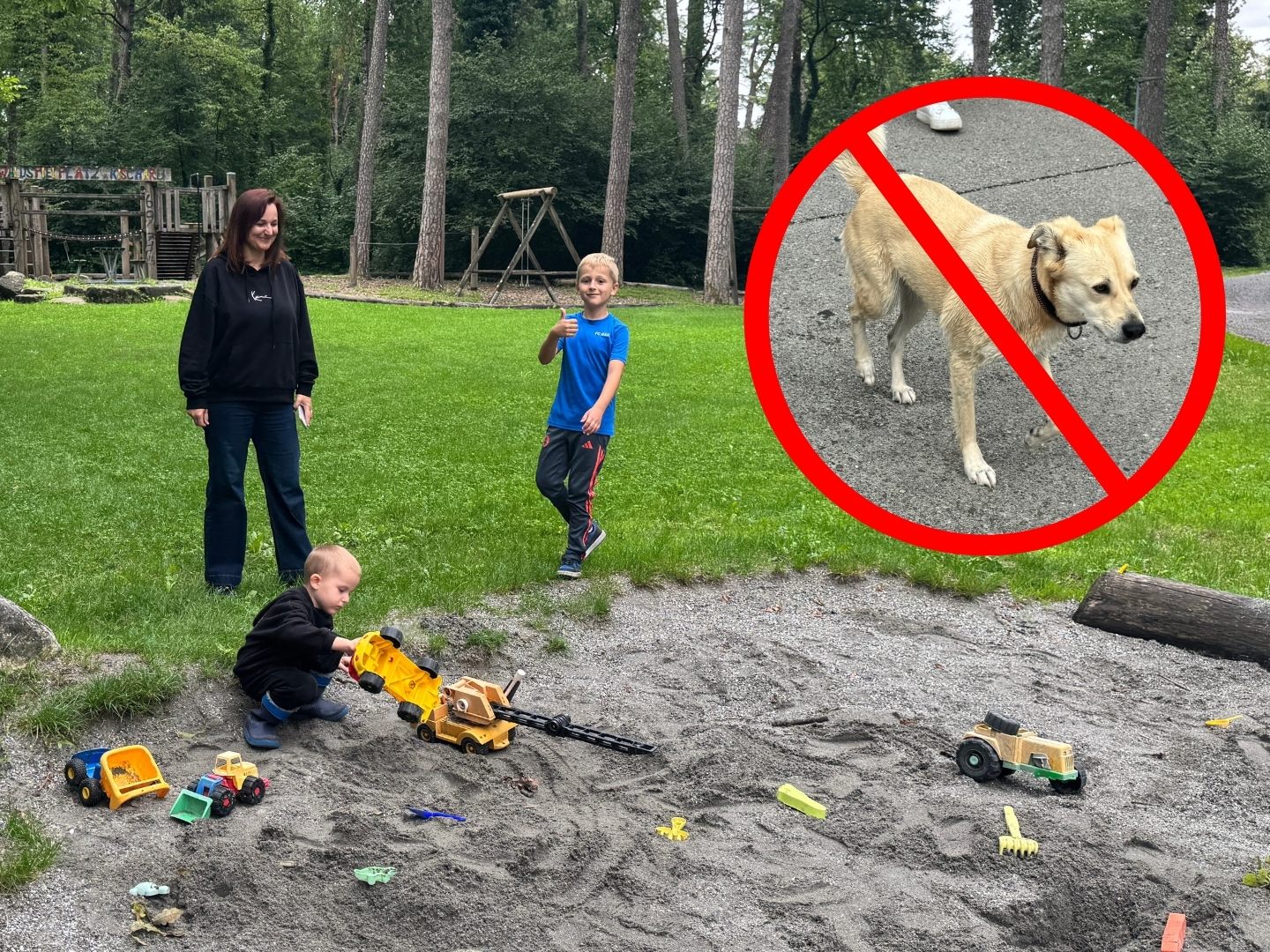 Hunde können Kinder gefährden.