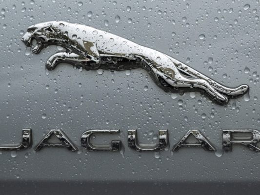 Jaguar-Logo im Regen