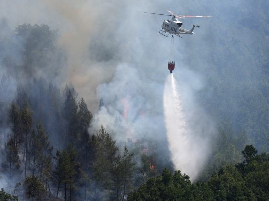 Spanien war heuer schon stark von Waldbränden betroffen