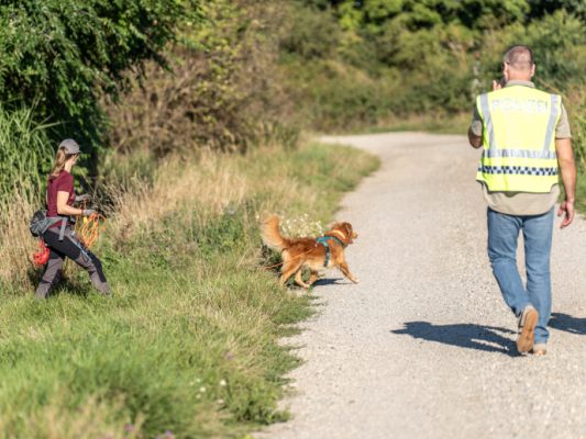 Wildtier-Kriminellen im Burgenland wird der Kampf angesagt