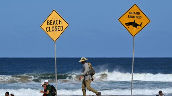 Der Badebereich am betroffenen Strand wurde gesperrt