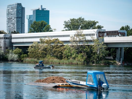 Mähboote auf der Alten Donau errnten Unmengen an Pflanzen Mähboote auf der Alten Donau errnten Unmengen an Pflanzen