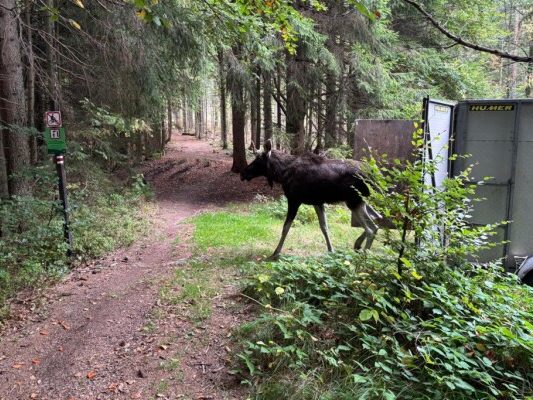 Am Montag kam "Emil" im Böhmerwald an. Am Montag kam "Emil" im Böhmerwald an.