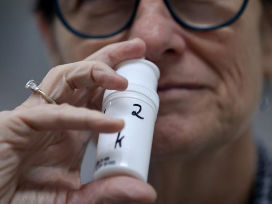 In manchen Fällen sogar schneller vom Blut aufgenommen In manchen Fällen sogar schneller vom Blut aufgenommen