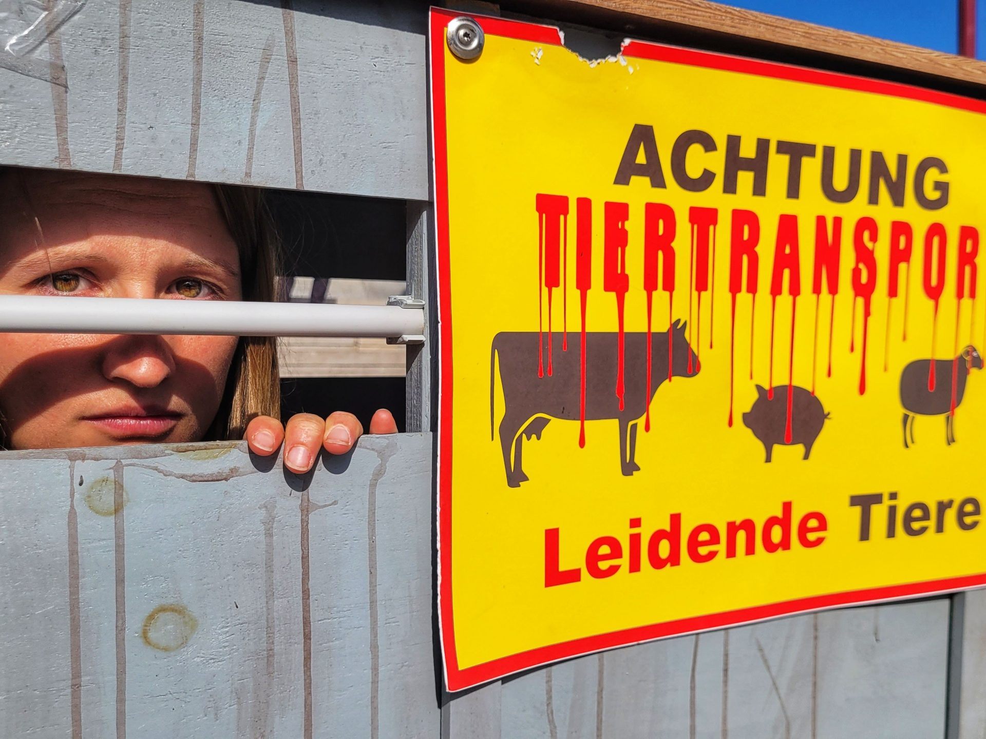Isabella Eckl verbringt 29 Stunden in einem Tiertransporter vor dem Parlament.