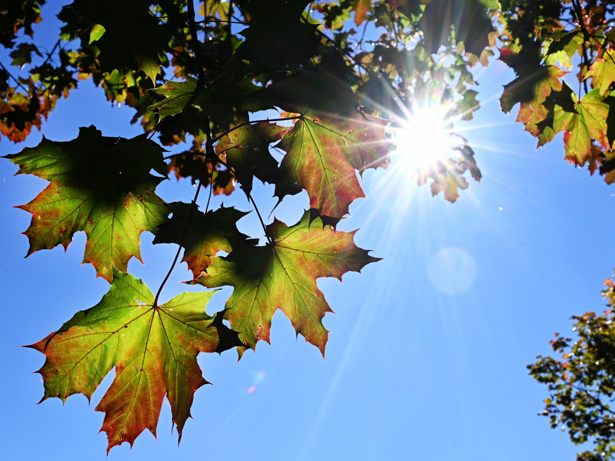 Sommerliches und meist trockenes Wetter gibt es zum Wochenende. Sommerliches und meist trockenes Wetter gibt es zum Wochenende.