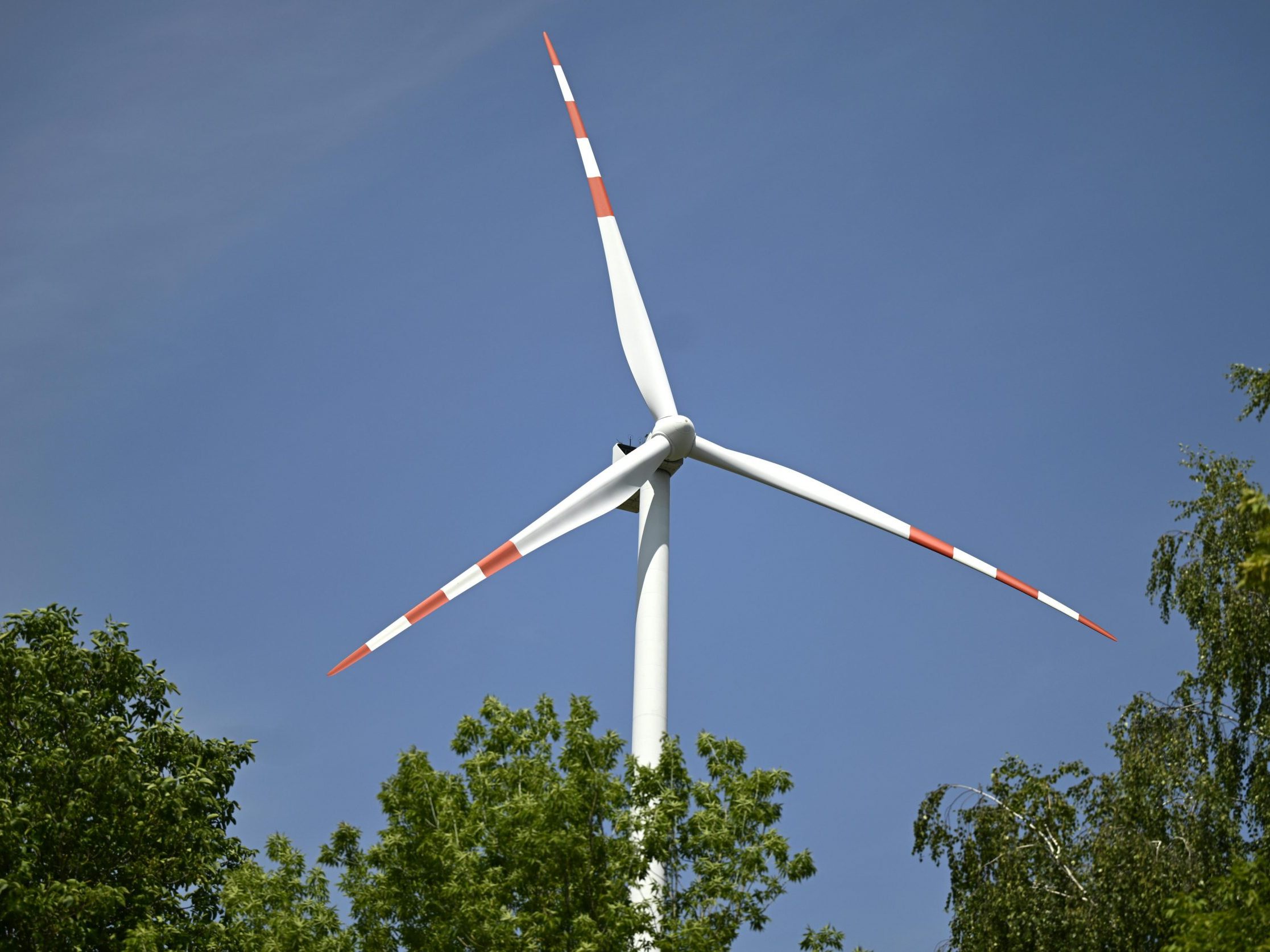 Ein Gesetz für mehr Tempo beim Erneuerbaren-Ausbau geht in Begutachtung. Ein Gesetz für mehr Tempo beim Erneuerbaren-Ausbau geht in Begutachtung.
