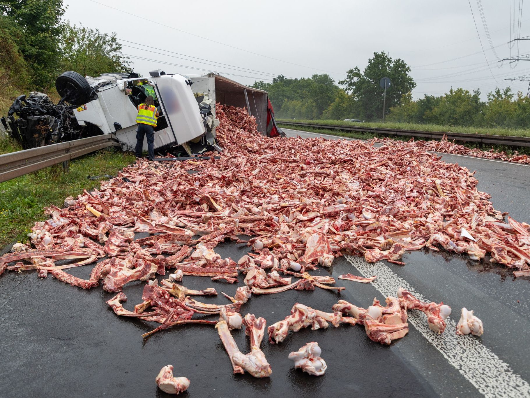 Umgekippter Lkw verteilt Fleischreste über Autobahn.