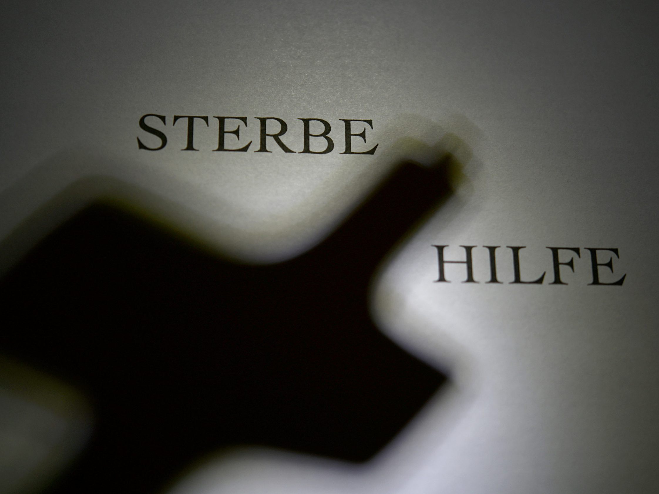 Lehrer und Publizist Niki Glattauer spricht offen über seine Absichten zu sterben.