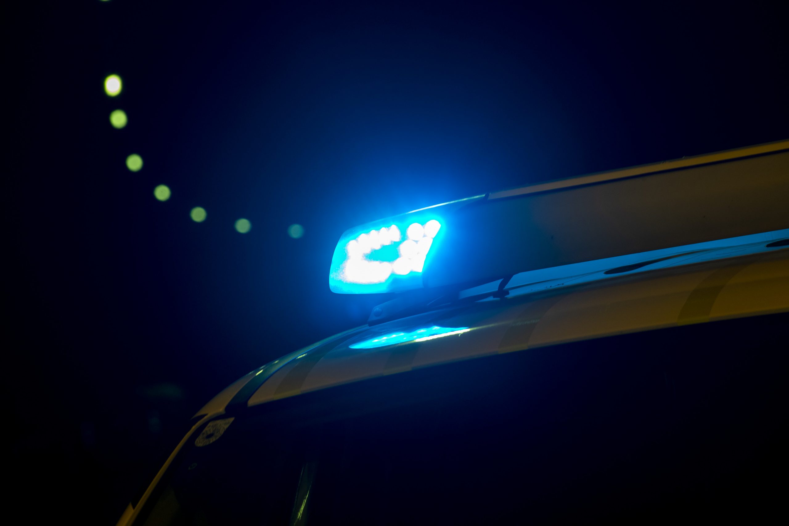 19-letnik umrl po padcu v pristaniški bazen na Dunaju