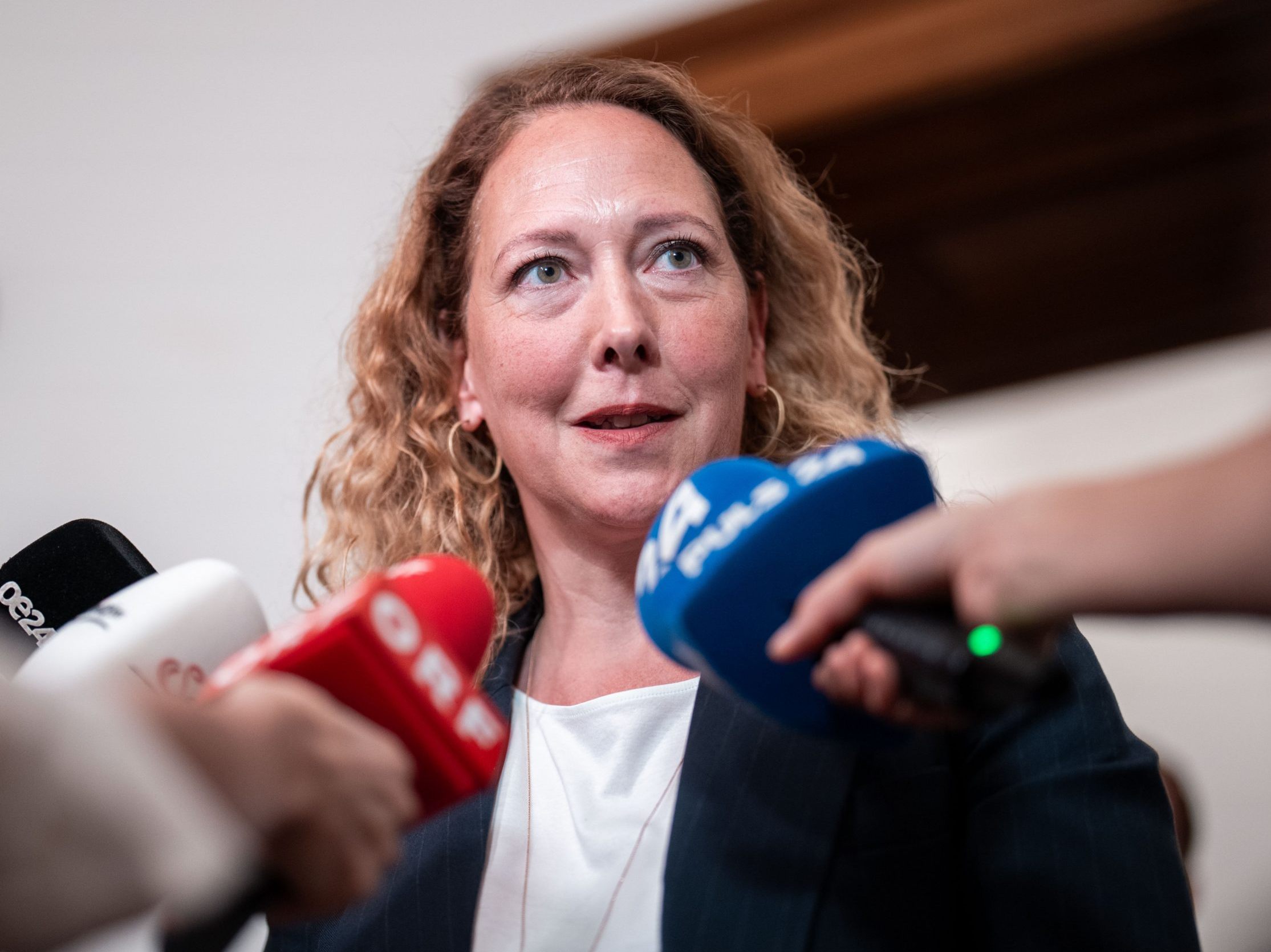 Die Wiener Grünen beklagen eine Zerstörung von Errungenschaften.