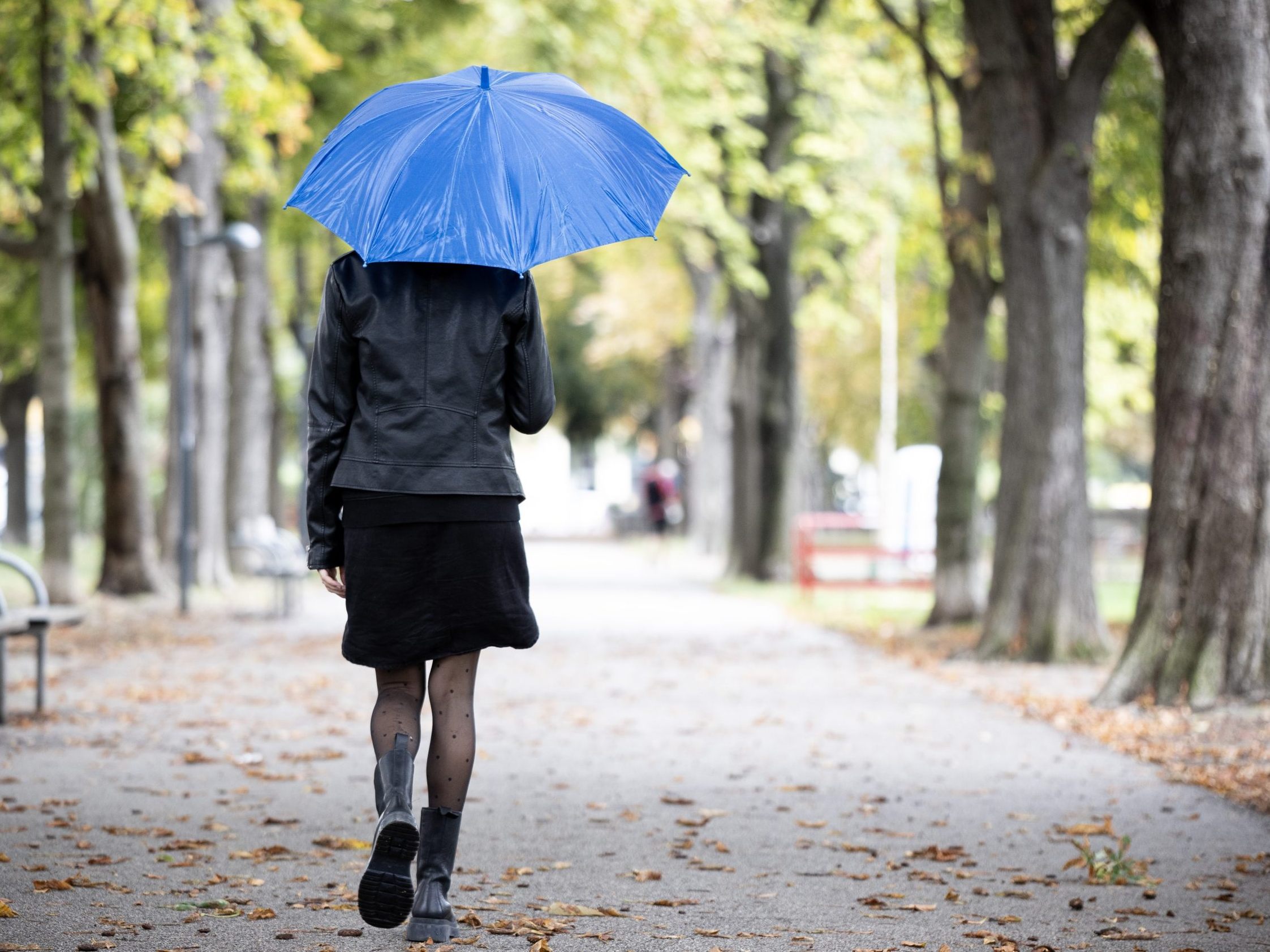 So wird das Wetter in der kommenden Woche.