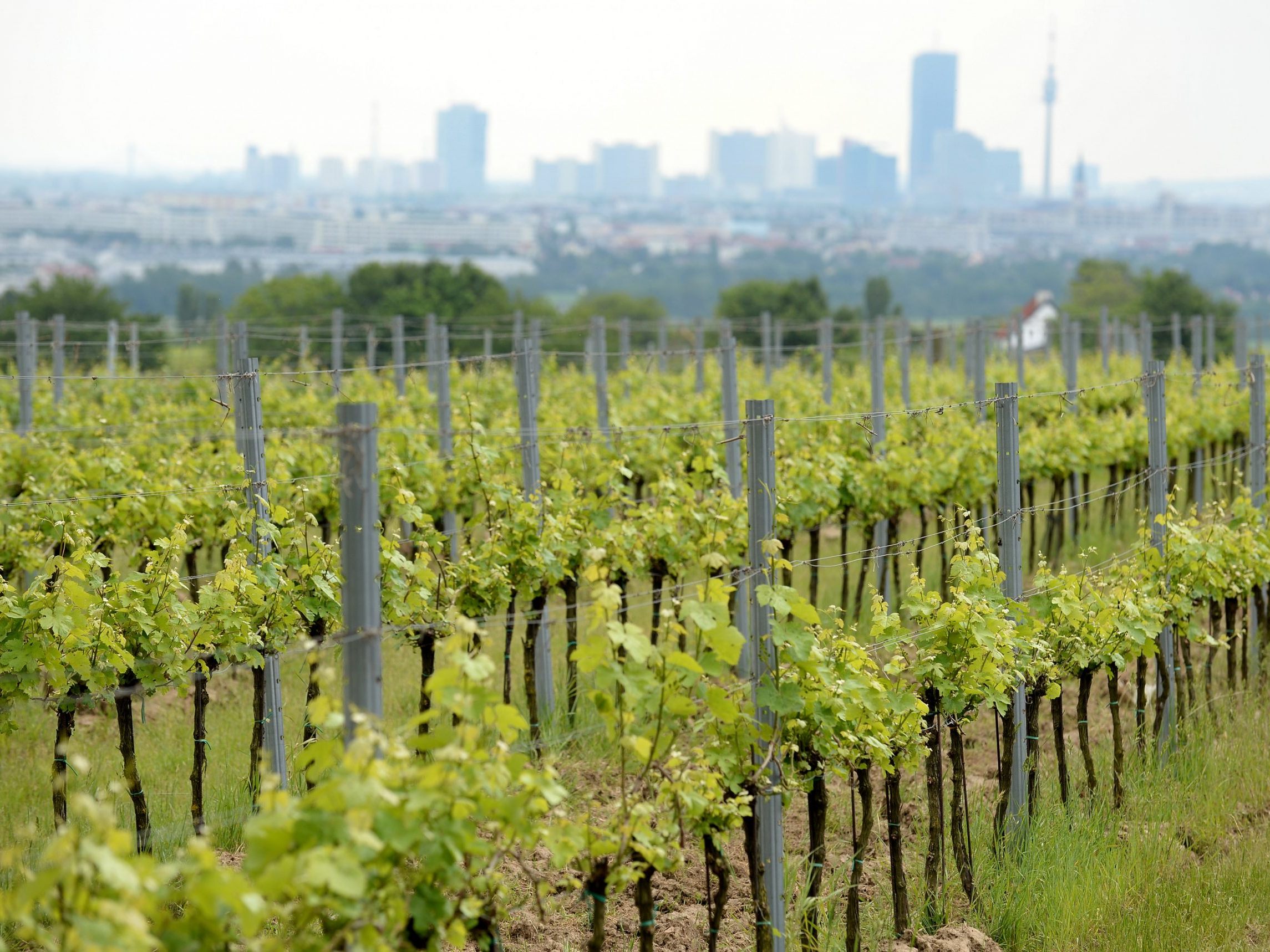 Die teuerste Wohnung, die 2024 in Wien-Floridsdorf verkauft wurde, befindet sich in Stammersdorf.