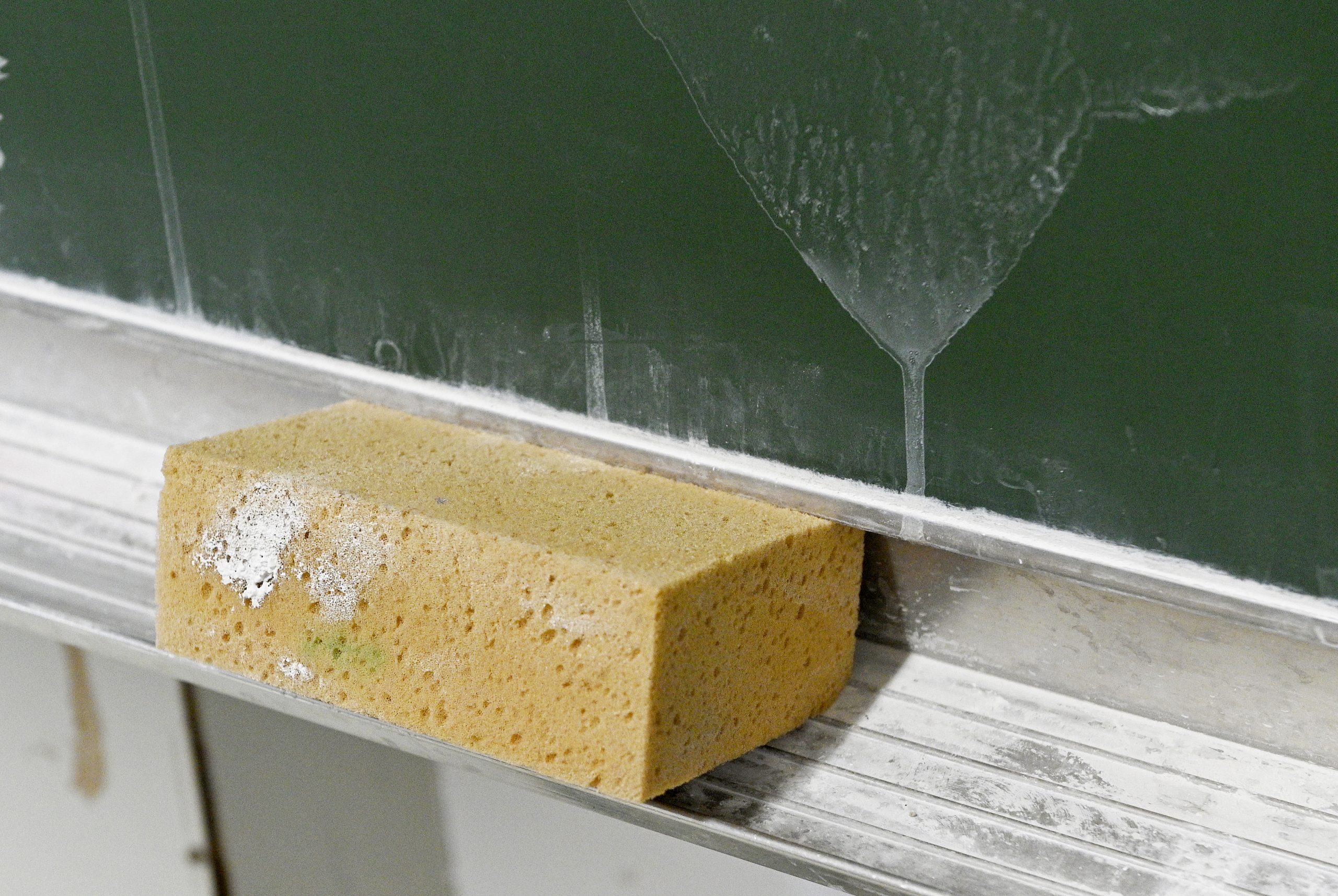 Na dunajskih osnovnih šolah so zapolnili vsa delovna mesta učiteljev