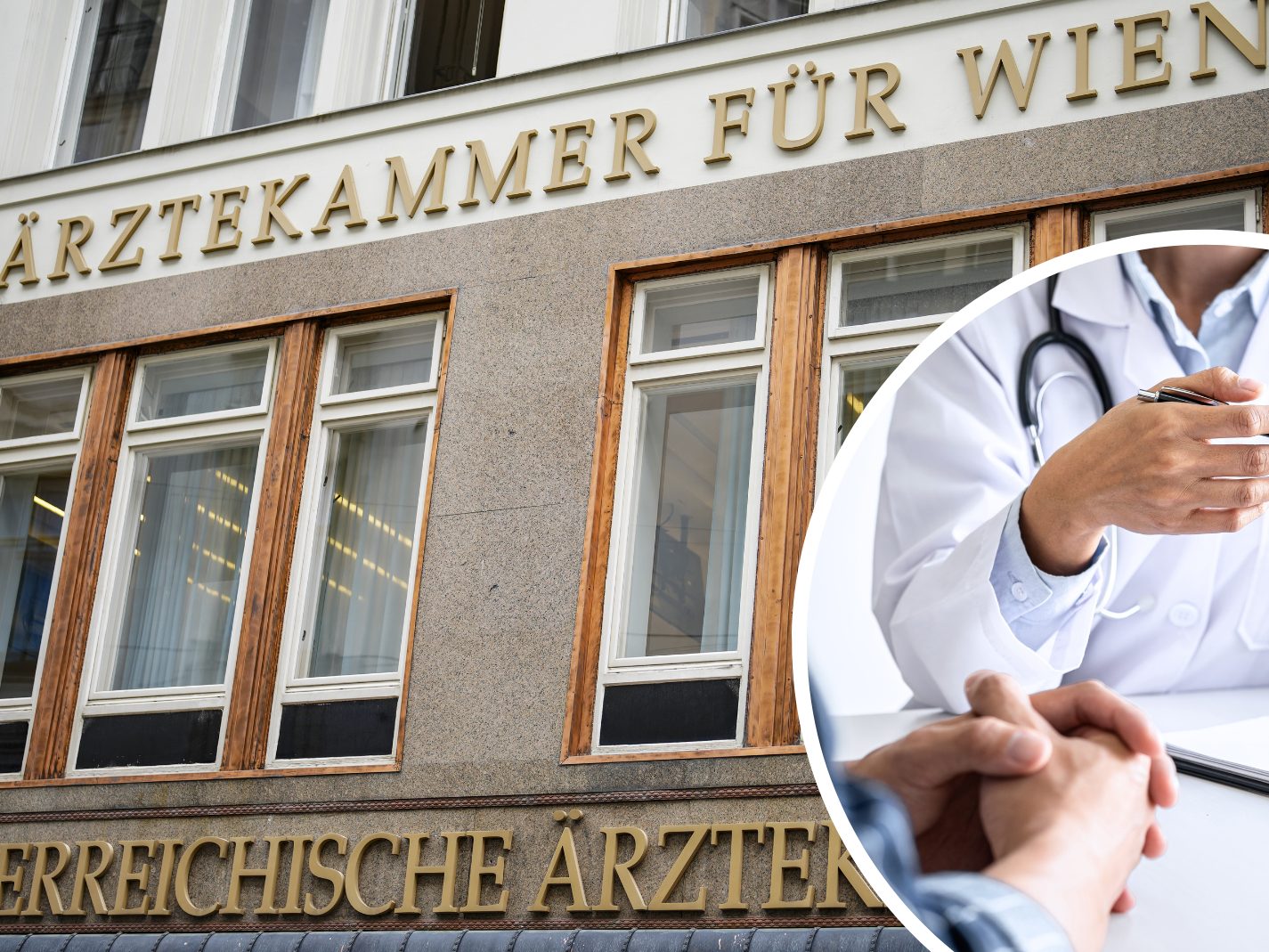 Die Ärztekammer sieht die Gesundheitsversorgung in Wien als massiv gefährdet an.
