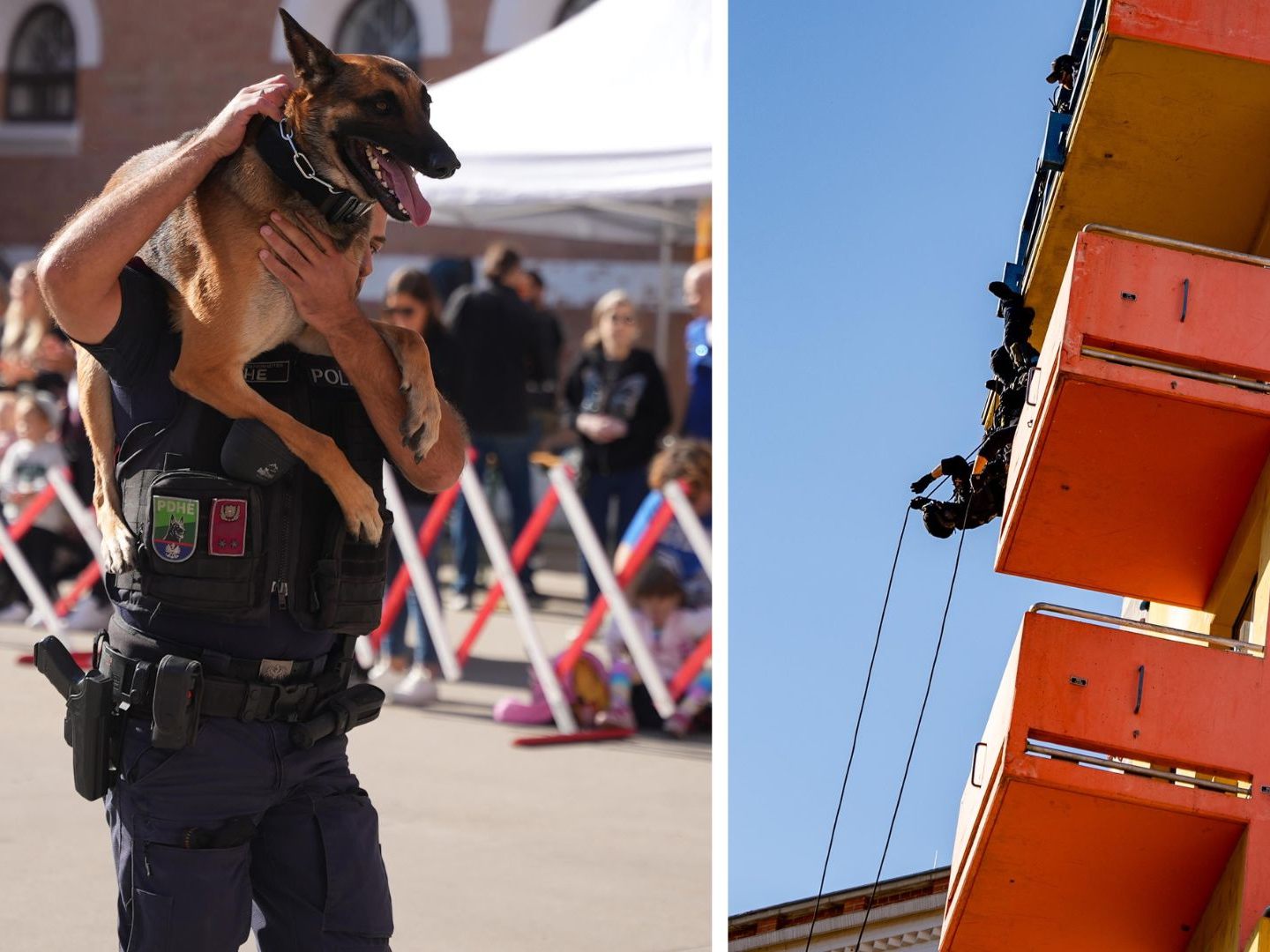 Am "Tag der Wiener Polizei" gibt es diverse Vorführungen der Spezialeinheiten. Am "Tag der Wiener Polizei" gibt es diverse Vorführungen der Spezialeinheiten.