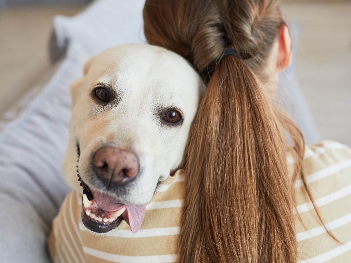 Hunde wittern die Angst des Menschen und reagieren erstaunlich komplex. Hunde wittern die Angst des Menschen und reagieren erstaunlich komplex.