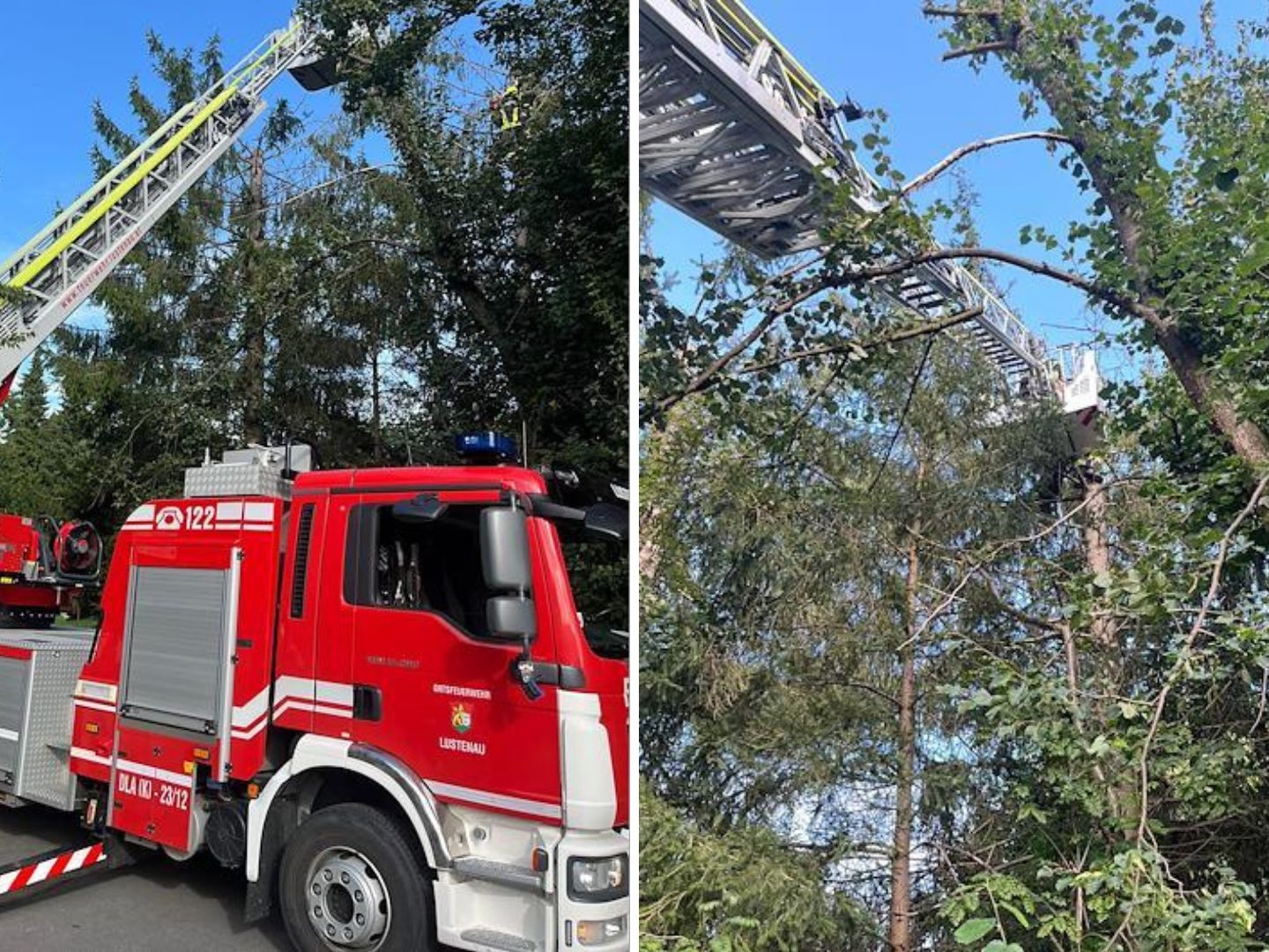 Feuerwehreinsatz in Lustenau: Kinder saßen auf Baum Feuerwehreinsatz in Lustenau: Kinder saßen auf Baum