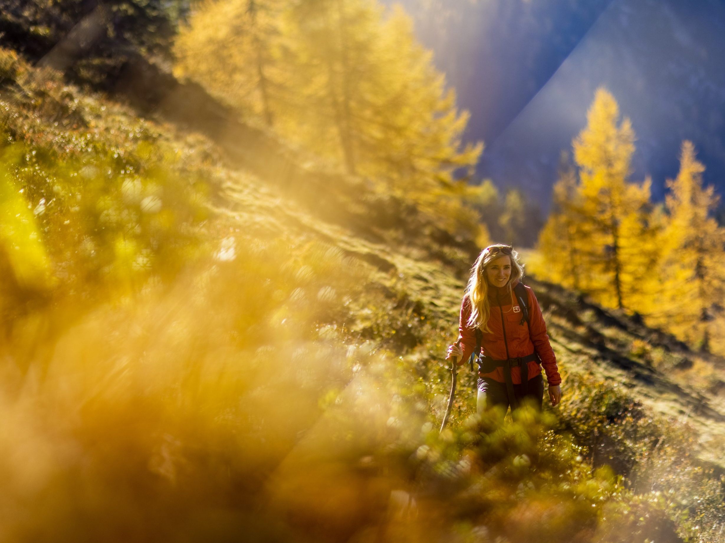 Im goldenen Herbst beginnt für viele die schönste Wandersaison des Jahres.