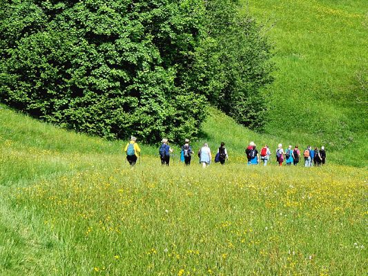 Bei den leichten Wanderungen steht das Gemeinschaftserlebnis im Vordergrund Bei den leichten Wanderungen steht das Gemeinschaftserlebnis im Vordergrund