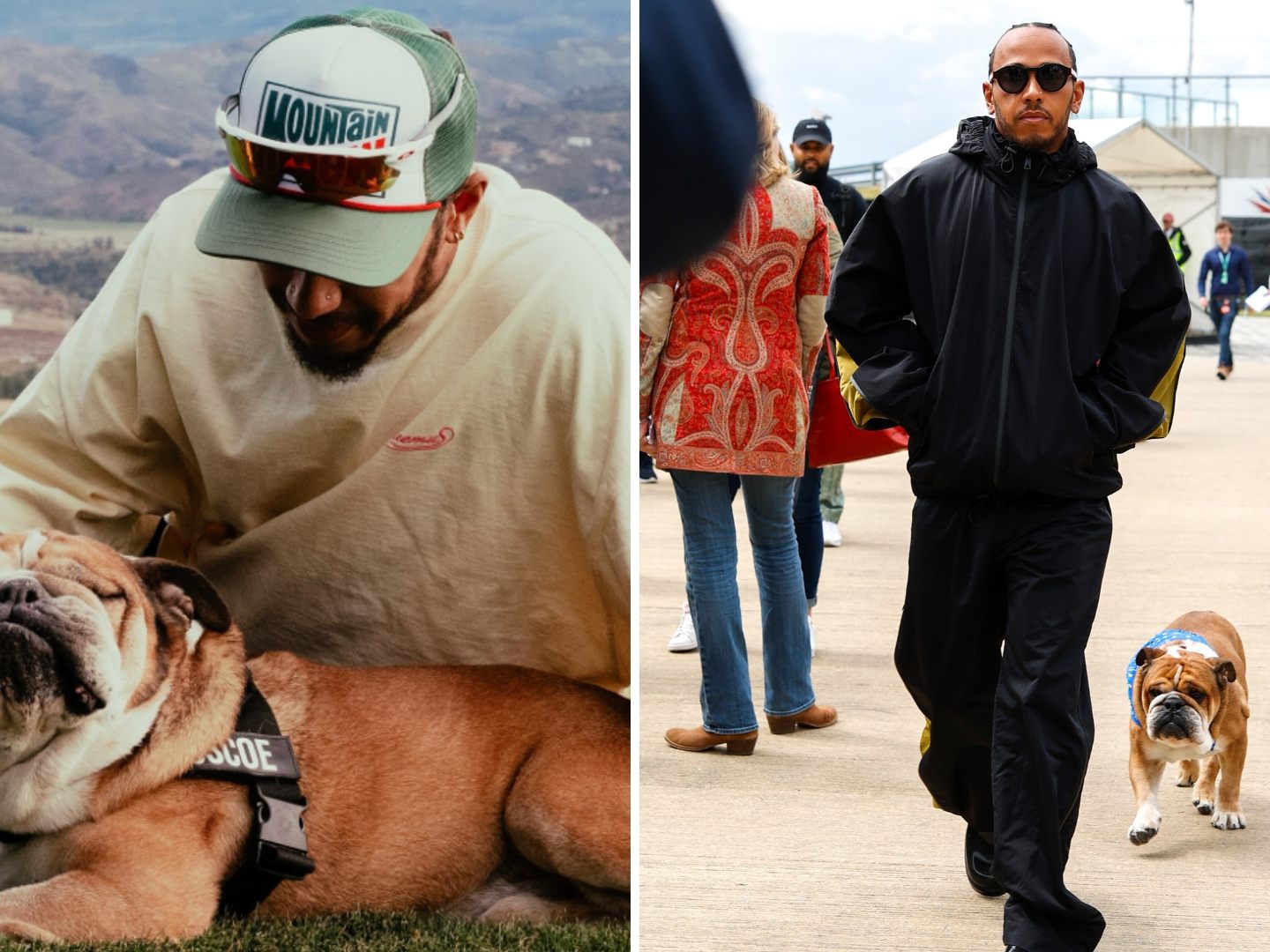 Lewis Hamilton trauert um seinen Hund Roscoe, der nach einer Lungenentzündung und mehreren Tagen an lebenserhaltenden Maßnahmen im Alter von zwölf Jahren gestorben ist. Lewis Hamilton trauert um seinen Hund Roscoe, der nach einer Lungenentzündung und mehreren Tagen an lebenserhaltenden Maßnahmen im Alter von zwölf Jahren gestorben ist.