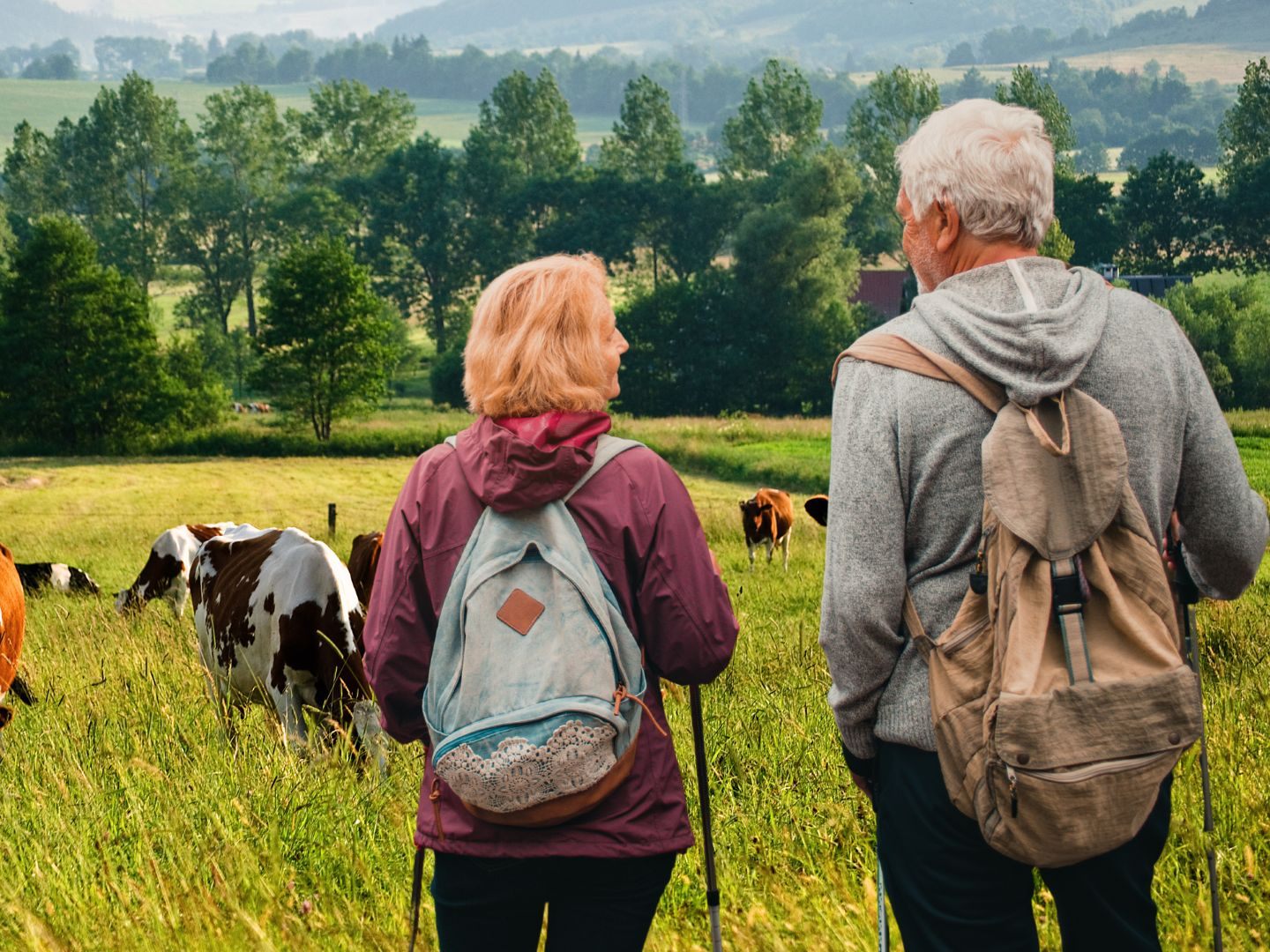 Tierangriff in der Steiermark – 85-Jähriger tot, Frau verletzt Tierangriff in der Steiermark – 85-Jähriger tot, Frau verletzt