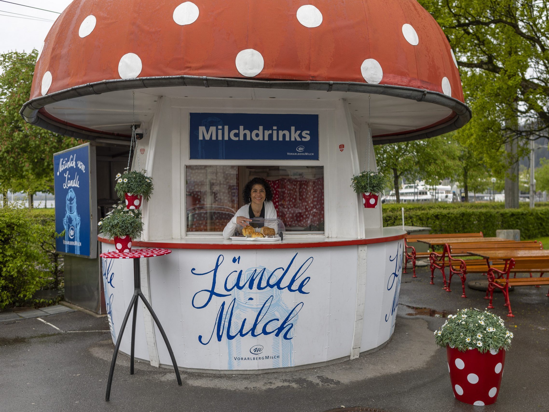 Wie geht es nun für den Milchpilz weiter? Wie geht es nun für den Milchpilz weiter?