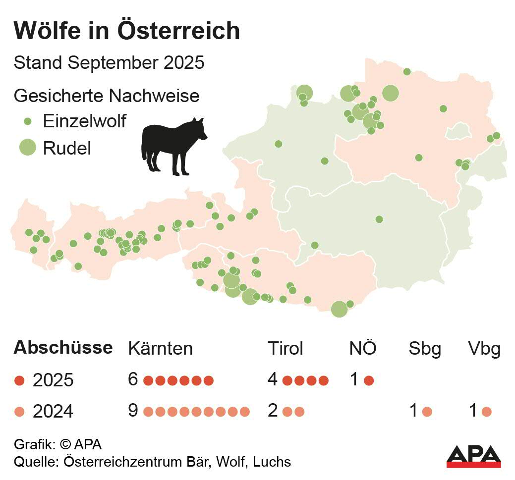 Nachweise von Wlfen, Stand September 2025, sowie Abschsse. Quelle: sterreichzentrum Br, Wolf, Luchs; Die Auslieferung der APA-Grafiken als Embed-Code ist ausschlie§lich Kunden mit einer gltigen Vereinbarung fr Grafik-Pauschalierung vorbehalten. Dabei inkludiert sind automatisierte Schrift- und Farbanpassungen an die jeweilige CI. Fr weitere Informationen wenden Sie sich bitte an unser Grafik-Team unter grafik@apa.at. GRAFIK 1252-25, 88 […]