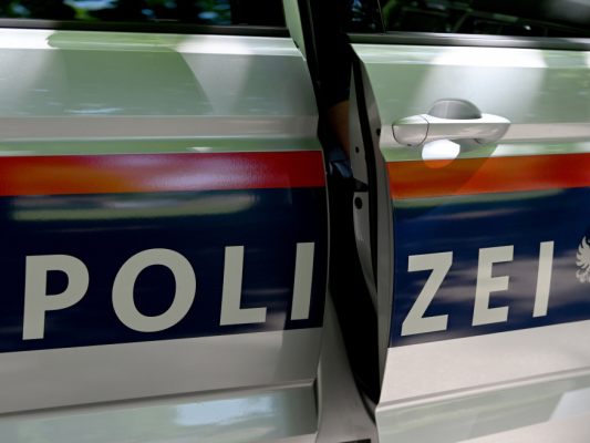 In Kärnten wurde ein 88-Jähriger bei einem Unfall schwer verletzt In Kärnten wurde ein 88-Jähriger bei einem Unfall schwer verletzt