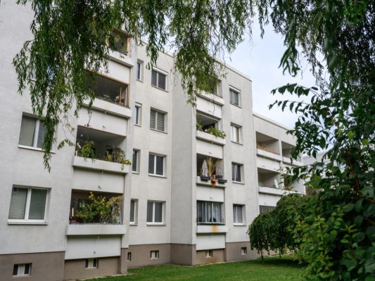 In dieser Siedlung in Wien kam es zu dem tödlichen Zwischenfall In dieser Siedlung in Wien kam es zu dem tödlichen Zwischenfall