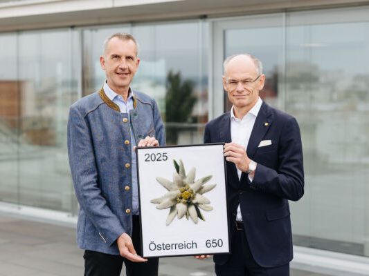 Edelweißblüte ist weich und biegsam
