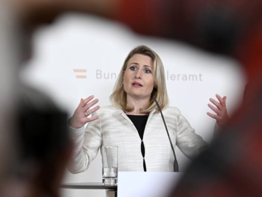 Ex-Integrationsministerin Raab in neuer Rolle (Archivbild) Ex-Integrationsministerin Raab in neuer Rolle (Archivbild)