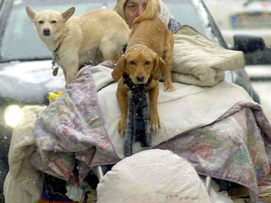 Caritas startet Kältetelefon und Winternothilfe in Wien